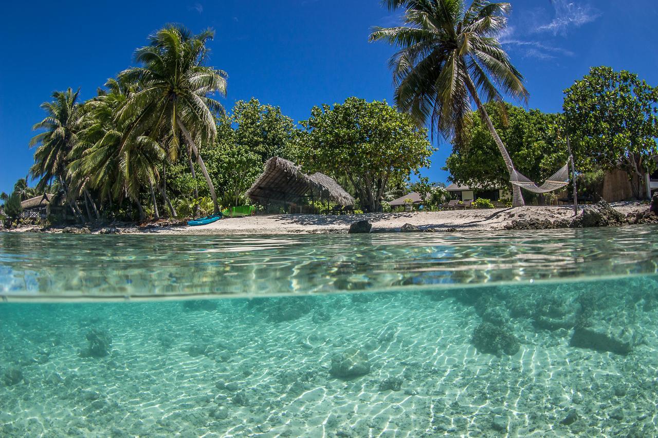 Le Coconut Lodge 아바토루 외부 사진
